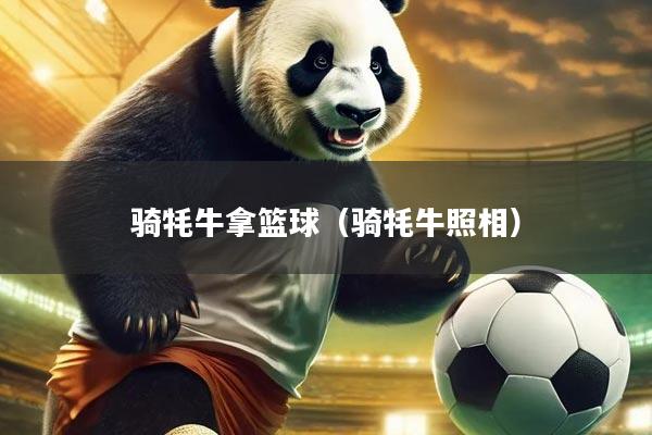 详细阅读:骑牦牛拿篮球(骑牦牛照相) 骑牦牛拿篮球(骑牦牛照相)